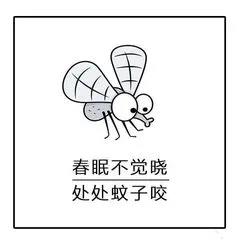 晚上睡覺蚊子嗡嗡叫？只需幾招，就能把蚊子團(tuán)滅！